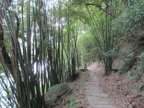 山水风景区