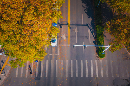 城市道路