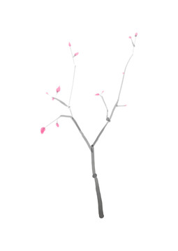 樹枝