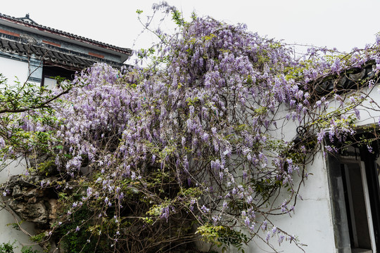 湖州衣裳街历史文化街区