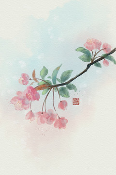 水彩垂絲海棠