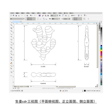 姜CDR平面图立面图