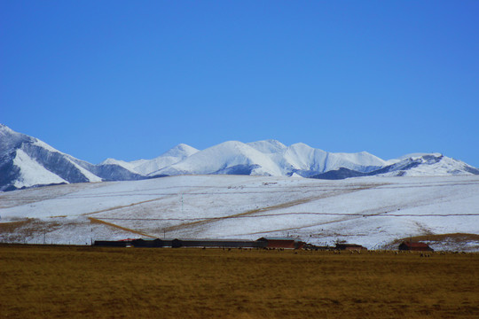 雪山风光