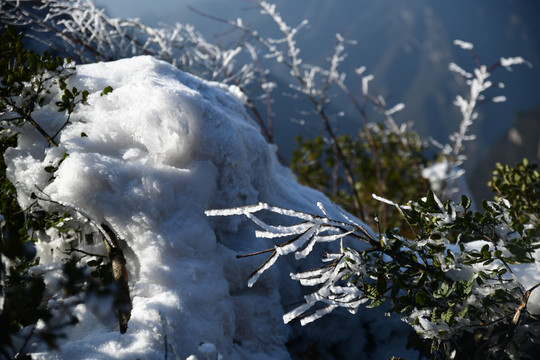 雪景