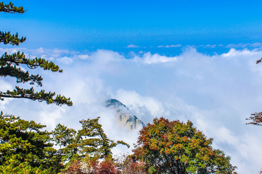 陕西华山