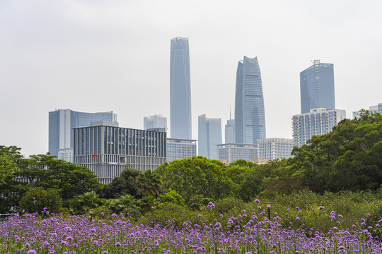 东莞中心区地标建筑