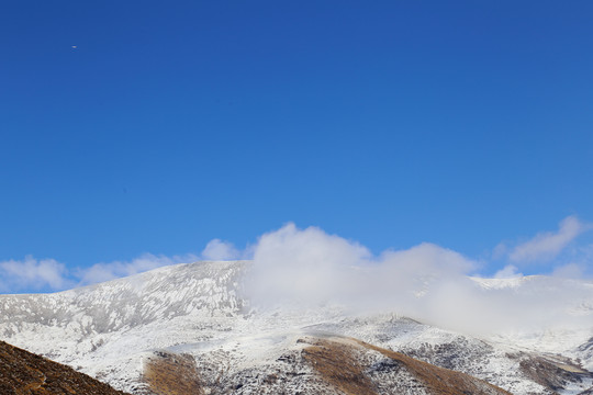 雪域高原