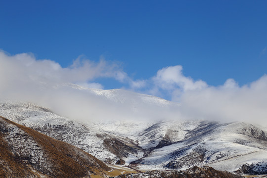 雪域高原