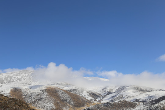 雪域高原