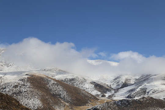 雪域高原