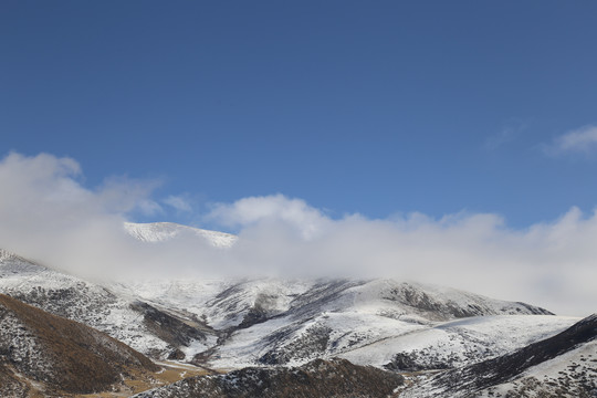 雪域高原