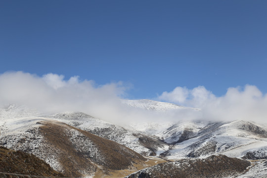 雪域高原