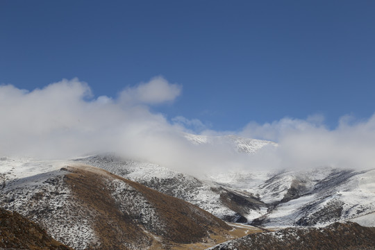 雪域高原