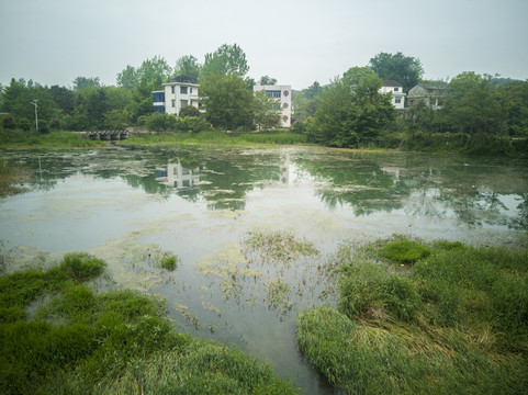 養魚池