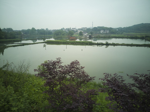 養魚池