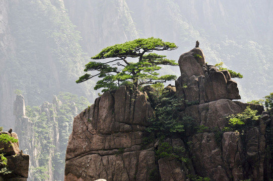 黄山风光