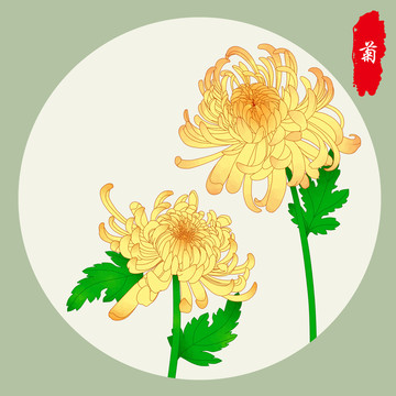 菊