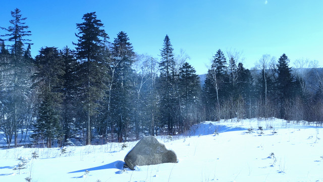 雪山一角