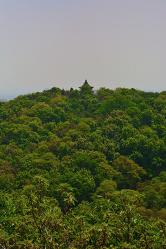 镇江南山风景区