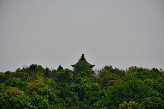 镇江南山风景区