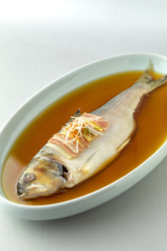 长江鲥鱼