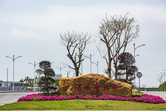 东莞滨海湾新区