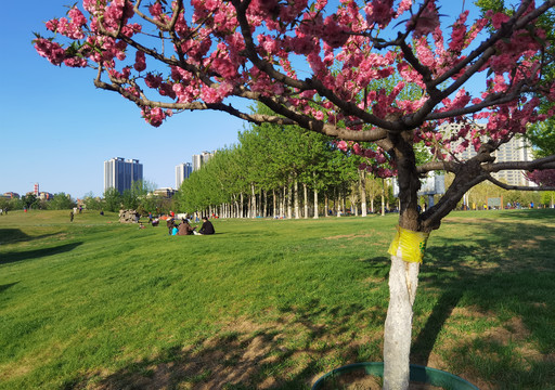 北京通州大运河休闲公园