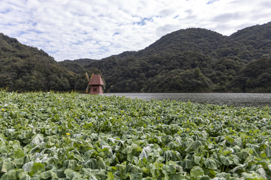 山水风光