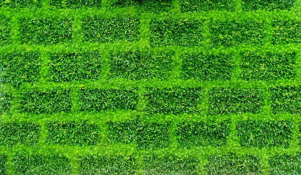 人造绿植墙
