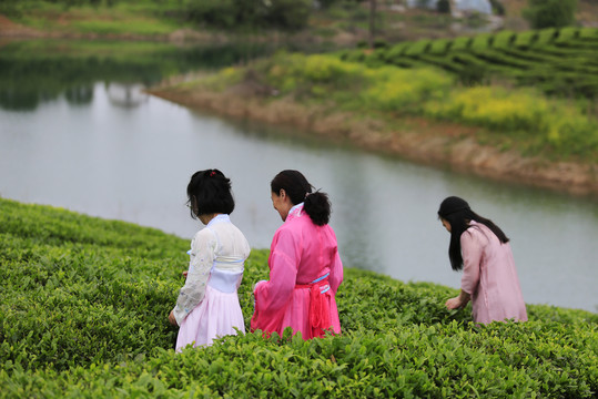 汉服采茶女