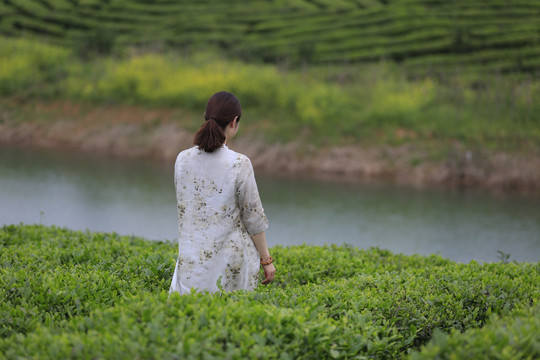 汉服采茶女