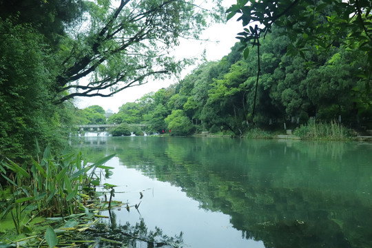 绿水青山河流