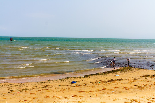 中国南极村合水线海景