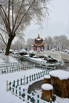 公园雪景