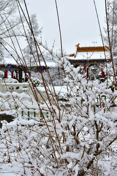 公园雪景