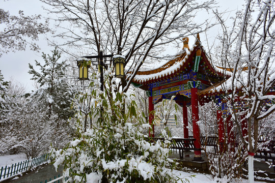 公园雪景