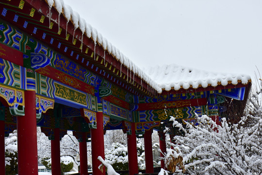 公园雪景