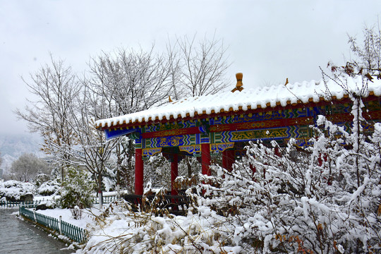 公园雪景