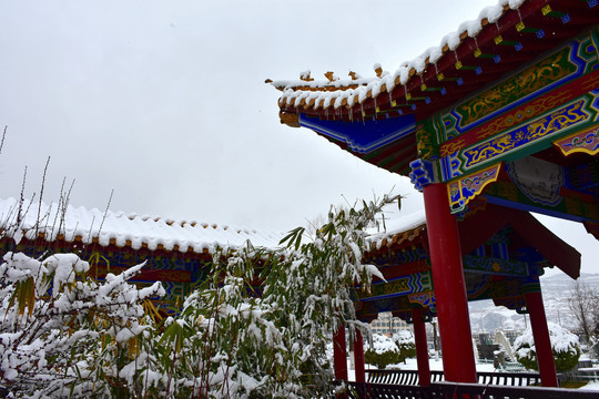 公园雪景