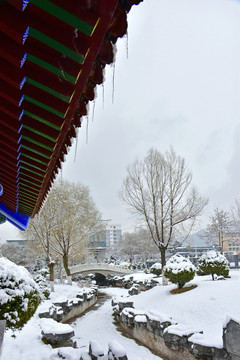 公园雪景