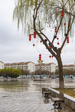 城市春雨