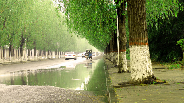 雨中的街道