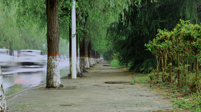 雨中的街道