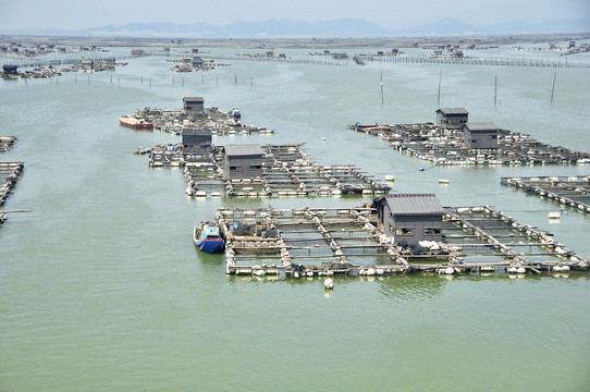 漳州东山渔排