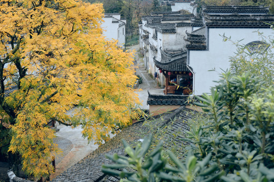 宏村古镇