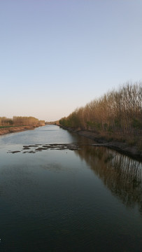 苇河
