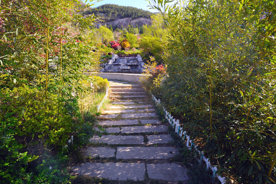 园林小路