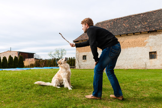年轻人拿着棍子在草地上玩他的狗