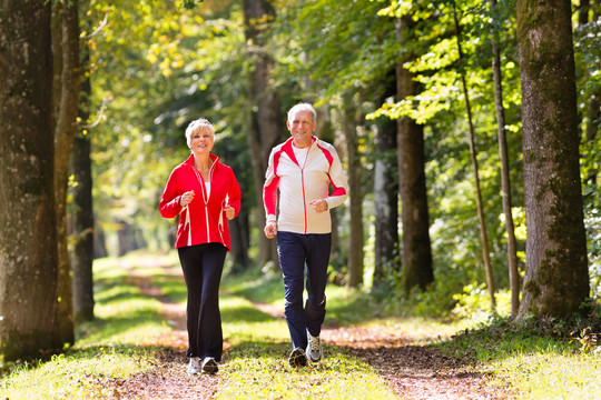 老年夫妇在户外运动，秋天在森林路上慢跑