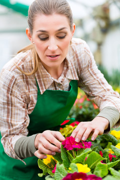 花店、温室或苗圃的女花匠或园丁